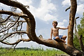 A boy sitting in a tree