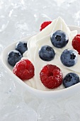Yogurt ice cream garnished with fresh berries