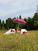 Field of corn poppies with chairs and a sun umbrella