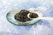 Black caviar in a muscle shell on a mother of pearl spoon