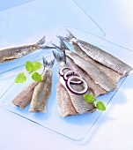 Herring fillets with onion rings