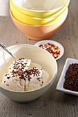Bowl of Vanilla Ice Cream with Chocolate Jimmies
