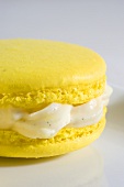 Macaron mit Vanillecreme (Close Up)