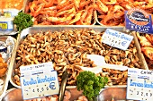 Shrimp in the market