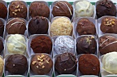 Assorted chocolate truffles in a box