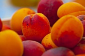 Fresh Peaches on Black Background