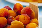 Fresh Peaches on Black Background