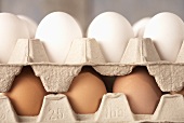 Brown and white eggs in an egg carton
