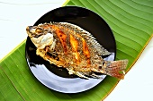 Frittierter Tilapia (Thailand)