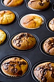 Assorted muffins in muffin tin