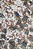 Various seeds and linseeds (macro-zoom)