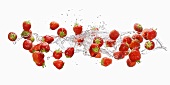 Erdbeeren mit Wassersplash
