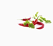 Chili peppers and cilantro