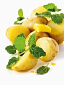 Boiled potatoes with butter and mint