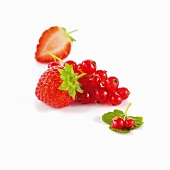 Erdbeeren & rote Johannisbeeren