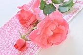 Pink roses on a cloth