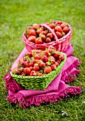 Two baskets of freshly picked strawberries