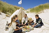 Friends having a picnic on the beach
