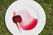 An ice lolly melting on a plate