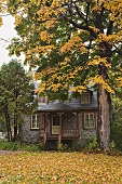 House and tree in autumn