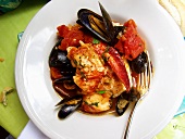 Creole lobster and mussel stew with tomatoes