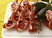 Fresh lamb chops with bunch of herbs
