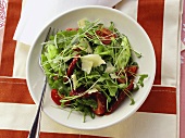 Cress salad with tomatoes, asparagus and parmesan
