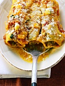 Cannelloni mit Gemüsesauce und Parmesan