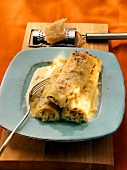 Cannelloni with cheese sauce; parmesan