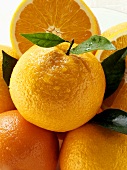 Oranges and orange halves