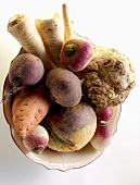 Various types of root vegetables in bowl