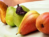 Various pears