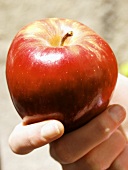 Hand holding red apple