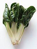 Fresh Chard