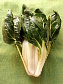 Fresh chard on green background