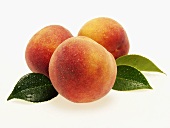Three fresh peaches with leaves and drops of water
