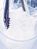 Ice cubes in glass with ice tongs