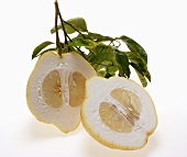 Lemon halves with twig and leaves