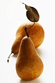 Brown pears, one with stalk and leaf