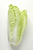 Fresh Chinese cabbage