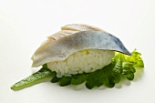 Nigiri-Sushi mit Makrele und Shisoblatt