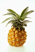 Fresh baby pineapple