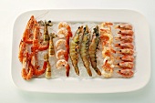 Various types of shrimps on crushed ice