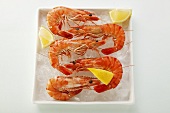 Shrimps with lemon on crushed ice