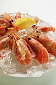 Shrimps with lemon on crushed ice