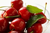 Fresh red cherries with leaves
