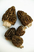 A few morels