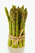 Bundle of green asparagus with drops of water