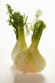 Whole and half fennel bulb with leaves