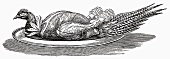 Pheasant on silver platter (Illustration)